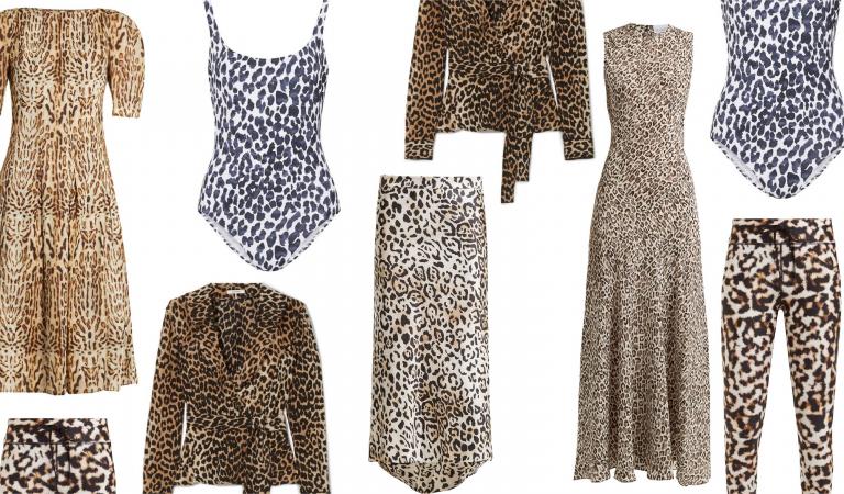 LOVING THE LEOPARD LOVING THE LEOPARD