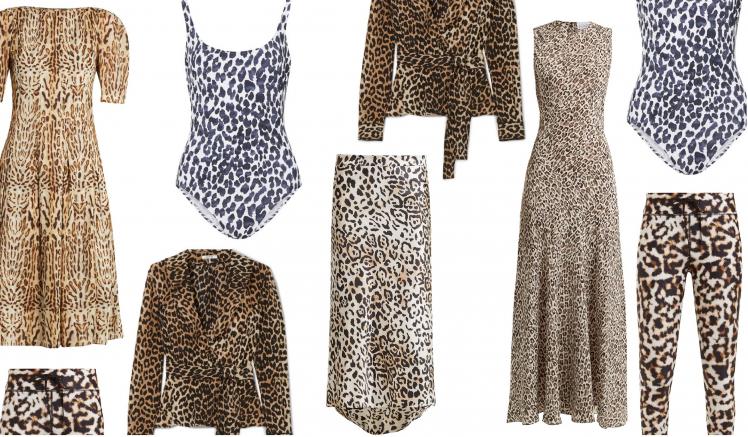 LOVING THE LEOPARD LOVING THE LEOPARD
