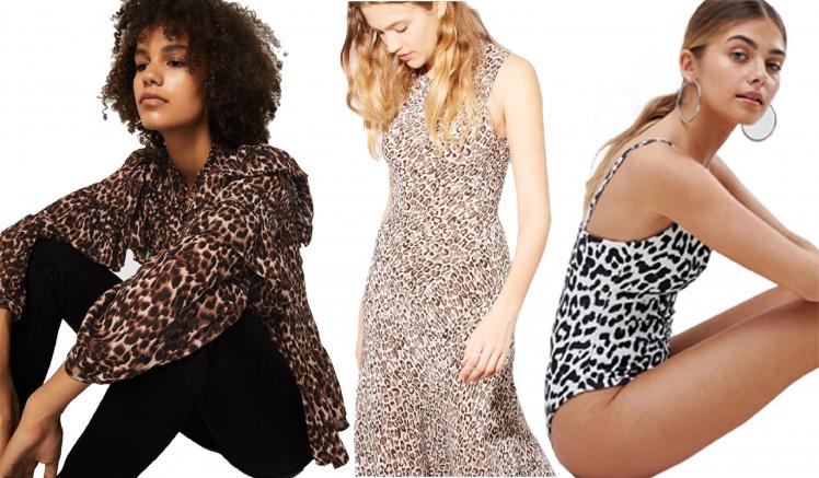 LOVING THE LEOPARD LOVING THE LEOPARD