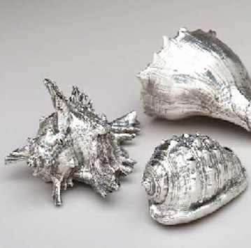 Silver Seashells 