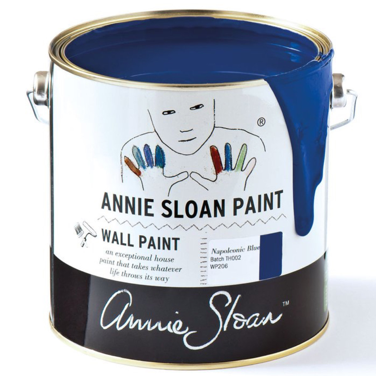 Napoleonic Blue Wall Paint