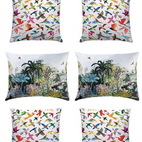 Print, Pattern & Colour