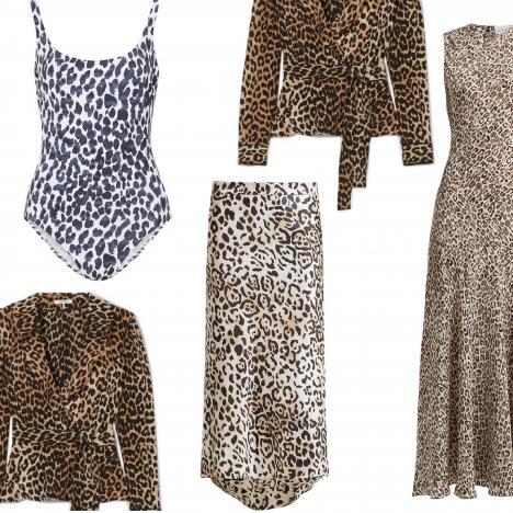 Loving the Leopard