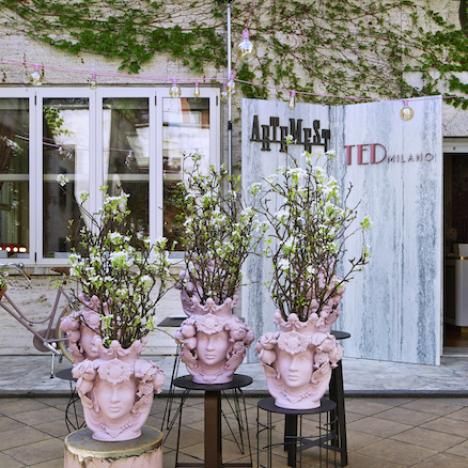 Cult Brand: Artemest