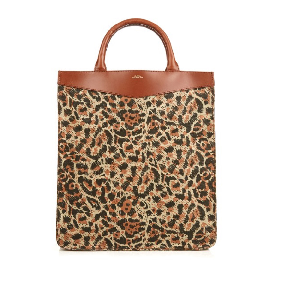 Canvas and Leather Tote