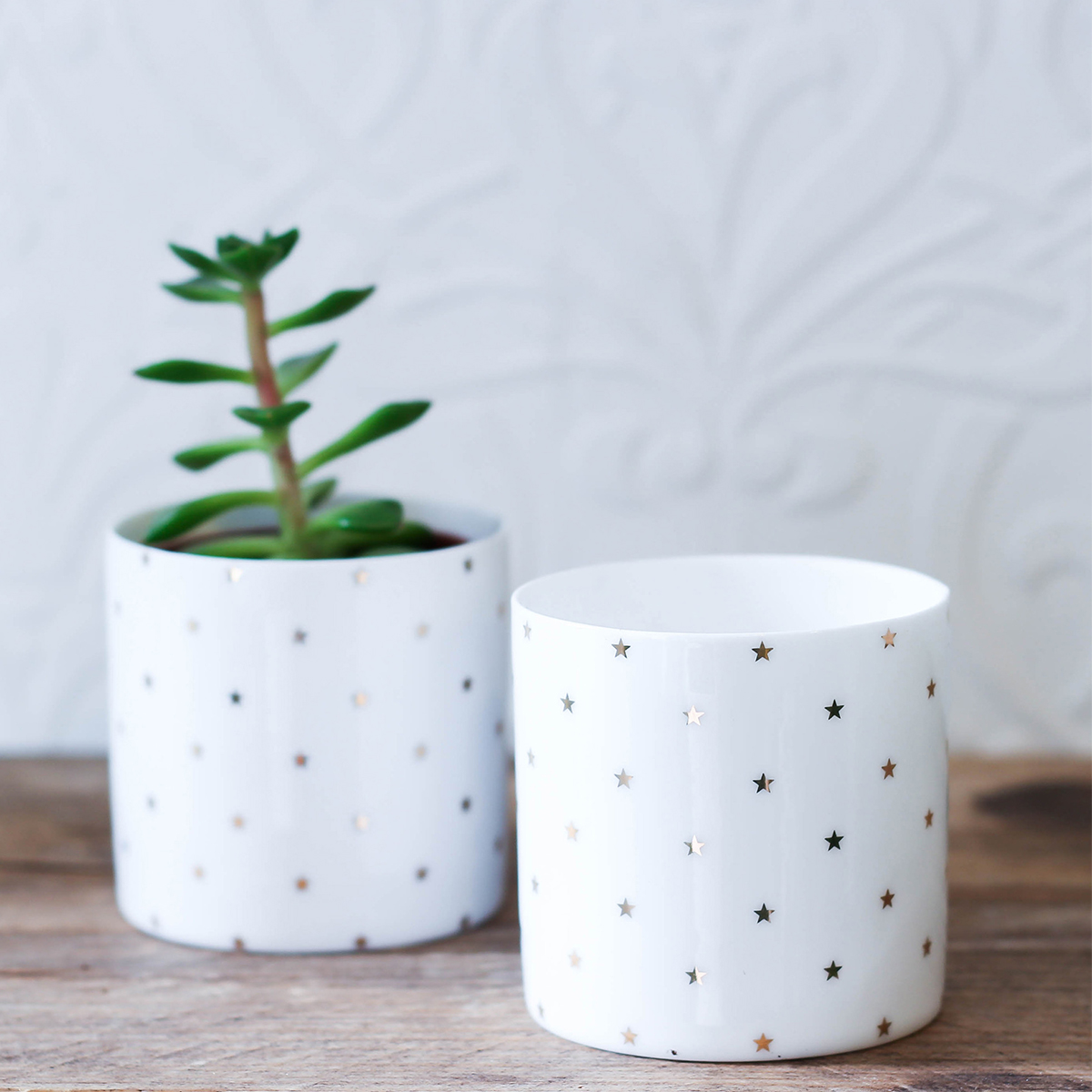 Mini Plant Pots